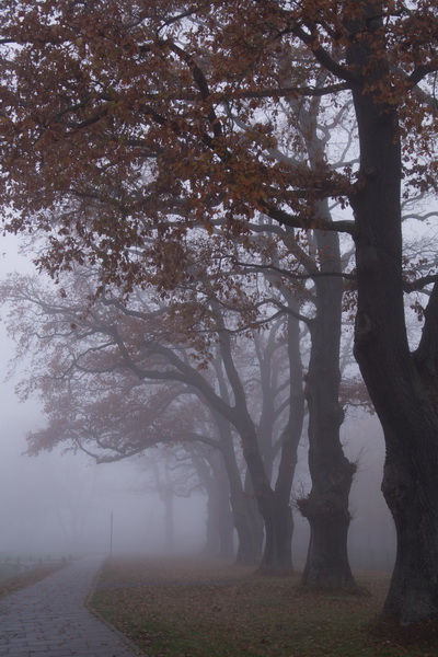 L&uuml;hrs - fotografie, ...und sonst 5